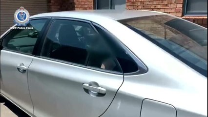 SF TRAWLER arrest, Newcastle area