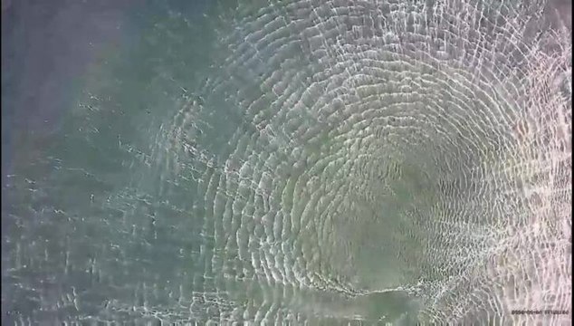 Westpac Rescue Helicopter crew rescue a surfer off Redhead Beach