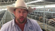Phill Butt describing weaner sale at Yass