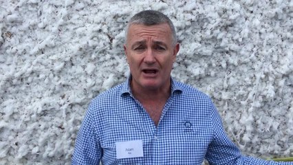 Adam Kay CEO Cotton Australia at Griffith Cotton Forum