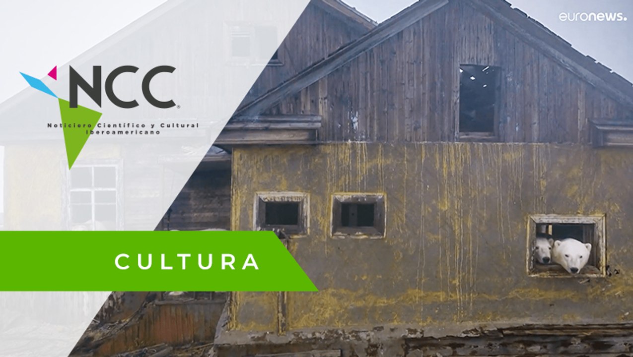 Fotógrafo encuentra una casa habitada por osos polares