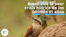 Brasil vive la peor crisis hídrica de los últimos 91 años | 435 | 04 al 10 abril 2022