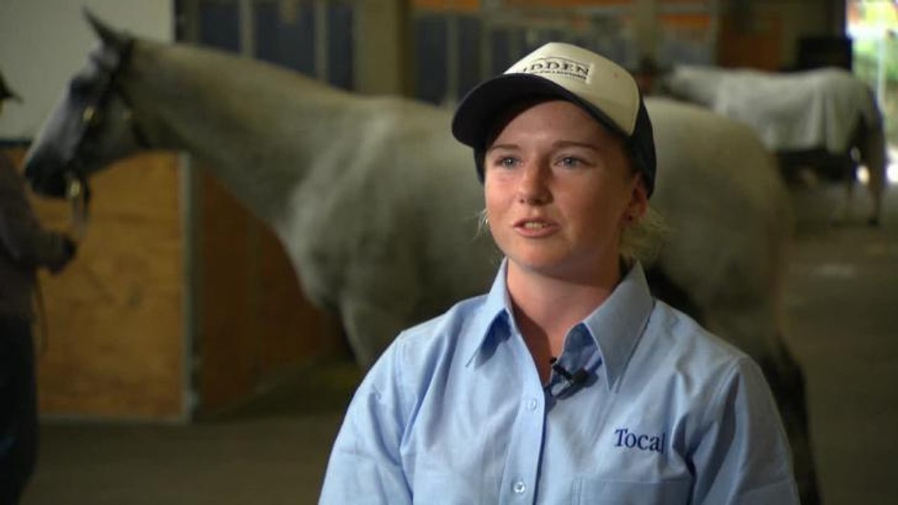 LEARNING STRAIGHT FROM THE HORSE’S MOUTH