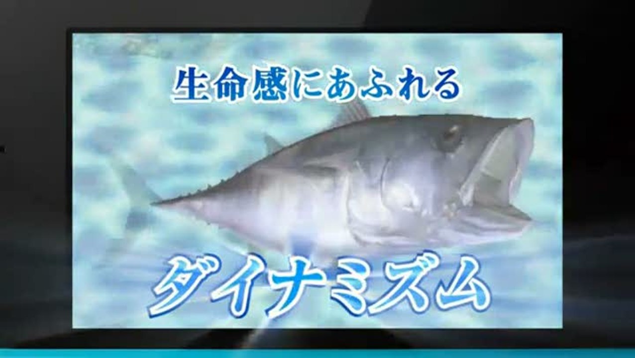 Reel Fishing 3D Paradise : Trailer