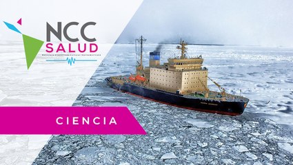 La Antártida en pandemia: aislarse en medio de la inmensidad