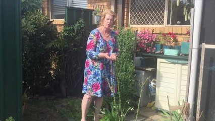 Mary Biden explains how to prune roses