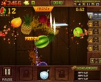 Fruit Ninja Frenzy : Mega Freeze et Rush