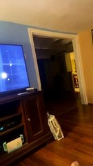 Cat Brings a Little Surprise Over to Owner