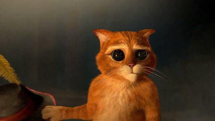 Le Chat Potté : Trailer