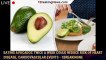 Eating avocados twice a week could reduce risk of heart disease, cardiovascular events - 1breakingne