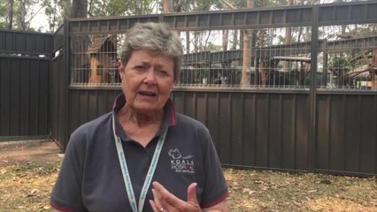 Port Macquarie Koala Hospital