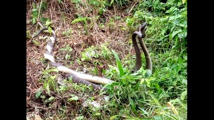 เช็กล่าสุด อัปเดต เลขเด็ด และ เลขดัง หวยงวดนี้ 1/4/65 รวบรวมไว้ที่นี่ เช็คเลย