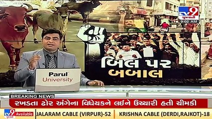 Maldhari Ekta Samiti president detained ahead of protest against stray cattle regulation bill