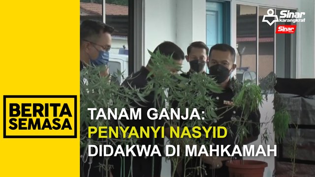 Tanam ganja: Penyanyi nasyid didakwa di mahkamah