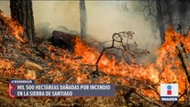Mil 500 hectáreas dañadas por incendio en Sierra de Santiago