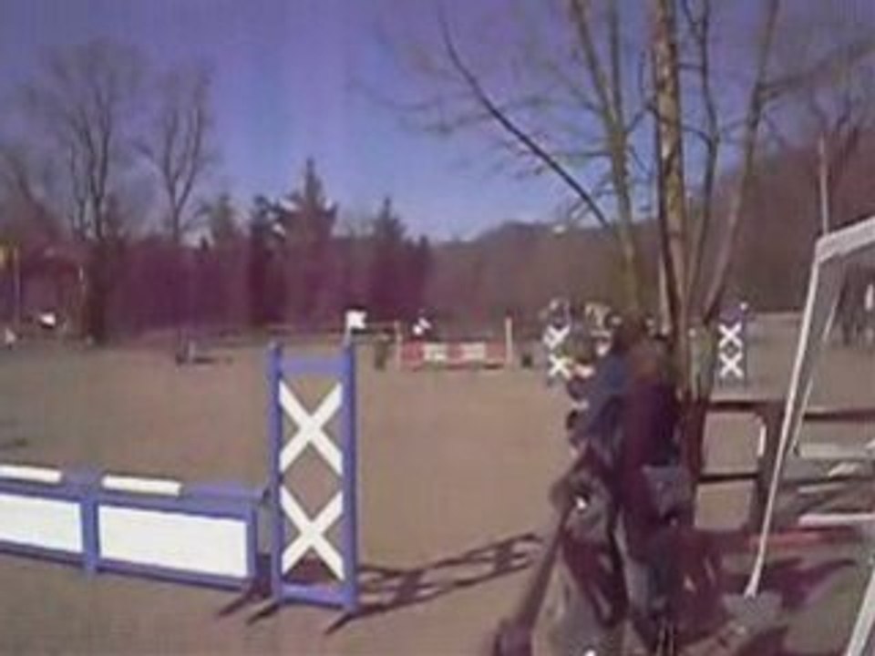 Concours de cso au Moulin avec Vénus à 80cm