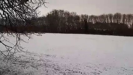 Snow falls in Doncaster