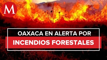 En Oaxaca, se han reportado 47 incendios en lo que va del año; hay cinco activos