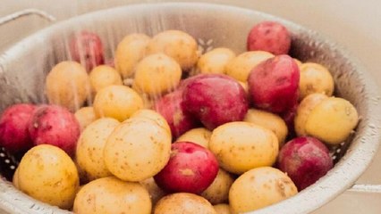 Jangan Pakai Sabun! Bersihkan Kentang dengan Cara Ini