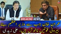 External forces are unhappy since Imran Khan became the Prime Minister, Ali Zaidi