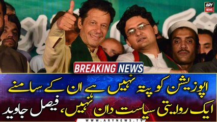 Opposition Ko Pata Nahi Hai Un Kay Samnay Ek Rewaiti Siyasatdaan Nahi, Faisal Javed