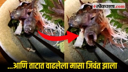 व्हायरल व्हिडिओ : ताटात वाढलेला मासा अचानक जिवंत झाला