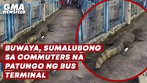 Buwaya, sumalubong sa commuters na patungo ng bus terminal | GMA News Feed