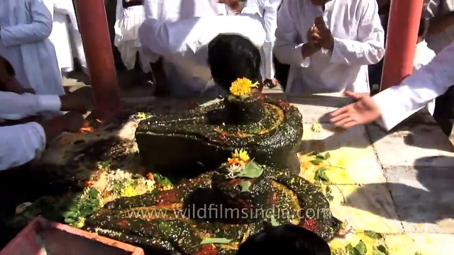 Devotees visiting Siddheshwar temple on the occasion of Shri Siddheshwar Maharaj Yatra