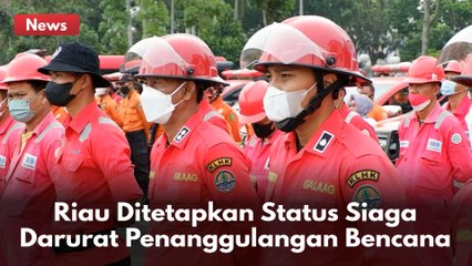 Syamsuar Sebut Riau Ditetapkan Status Siaga Darurat Penanggulangan Bencana !!