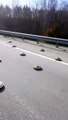 Les automobilistes doivent passer un champ de mines s'ils veulent rouler sur cette autoroute