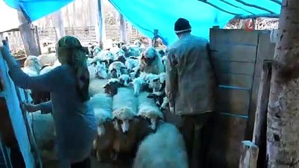 İşte Cumhurbaşkanı Erdoğan'ın ortaklık teklif ettiği kadın çiftçi