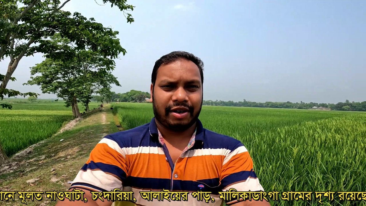 অসাধারণ সুন্দর গ্রাম বাংলার দৃশ্যের ভিডিও। Bangladesh Village Nice Scenery HD Video