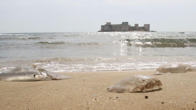 Deniz anası kabusu sürüyor, Kızkalesi sahiline kadar geldi