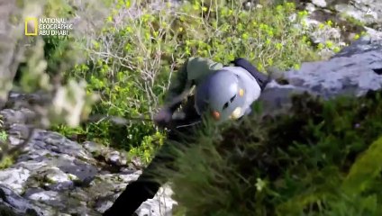 في البرية مع بير غريلز الحلقة 4  : رحلة كارا ديليفين إلى جبال ساردينيا