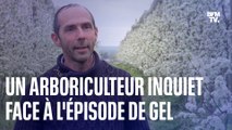 Froid: comment cet arboriculteur et viticulteur tente de sauver ses récoltes