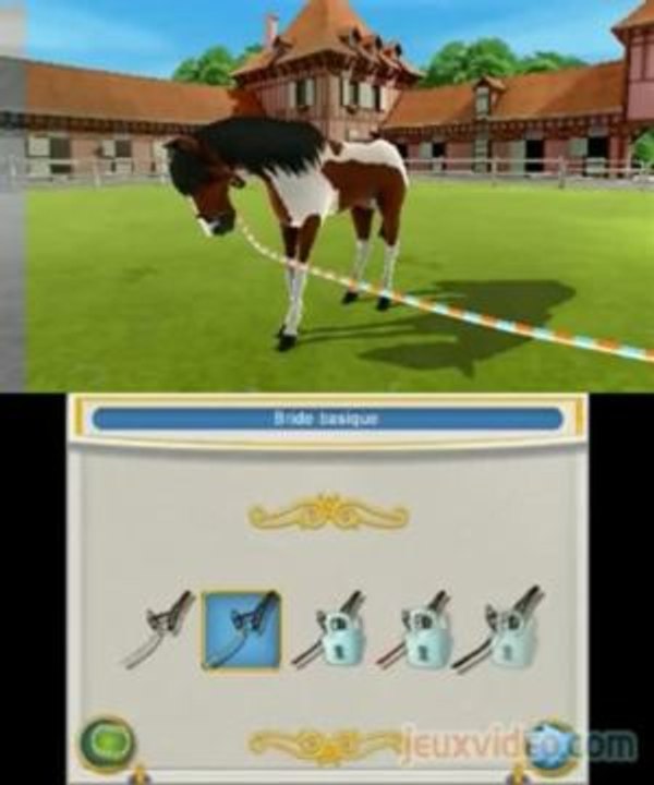 Mon Haras 3D - Tous en Selle : Au pré