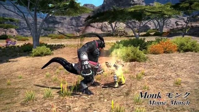 Final Fantasy XIV : A Realm Reborn : Job Actions
