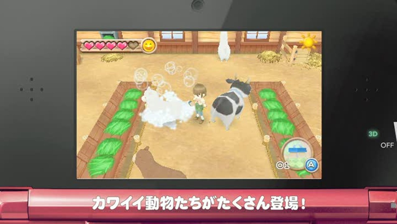 Harvest Moon 3D : A New Beginning : Harvest Moon : Hajimari no Daichi