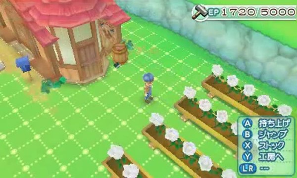 Harvest Moon 3D : A New Beginning : Une ferme en kit