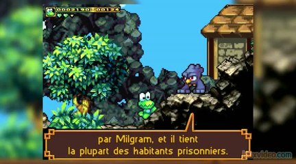 Frogatto & Friends : C'est la fête à la grenouille !
