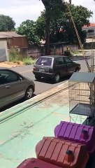 Il filme un motard qui fait l'idiot à un carrefour et a droit à un joli spectacle