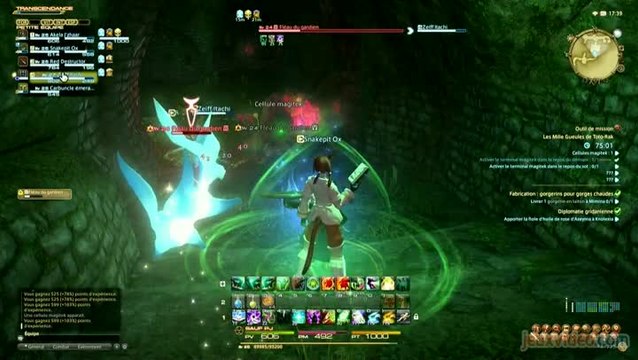 Final Fantasy XIV : A Realm Reborn : 3/3 : Sombre donjon