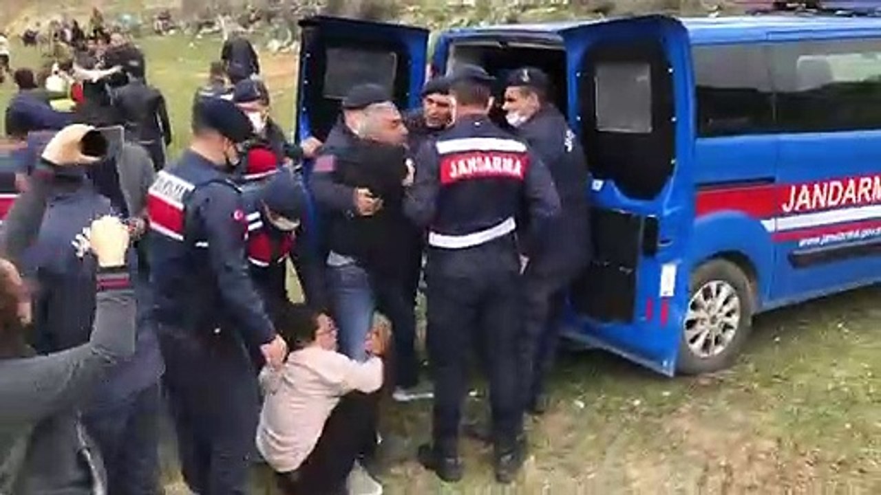 YK Enerji ve Limak zeytin ağaçlarını sökmeye başladı: Çok sayıda köylü gözaltında