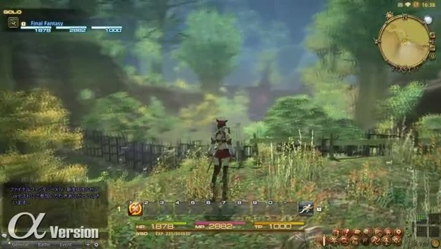 Final Fantasy XIV : A Realm Reborn : Black Shroud gameplay 2