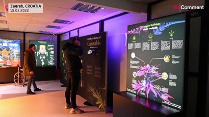 'Things you never learn in school': Croatia opens cannabis museum