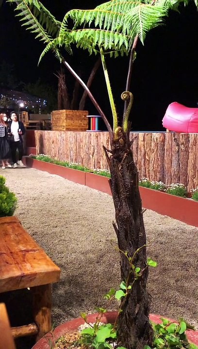 Thêm chi tiết nghi Nhã Phương mang bầu lần 2