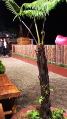 Thêm chi tiết nghi Nhã Phương mang bầu lần 2