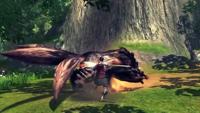 RaiderZ : Teress Plain
