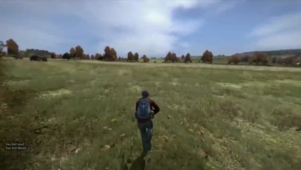 DayZ : Evolution