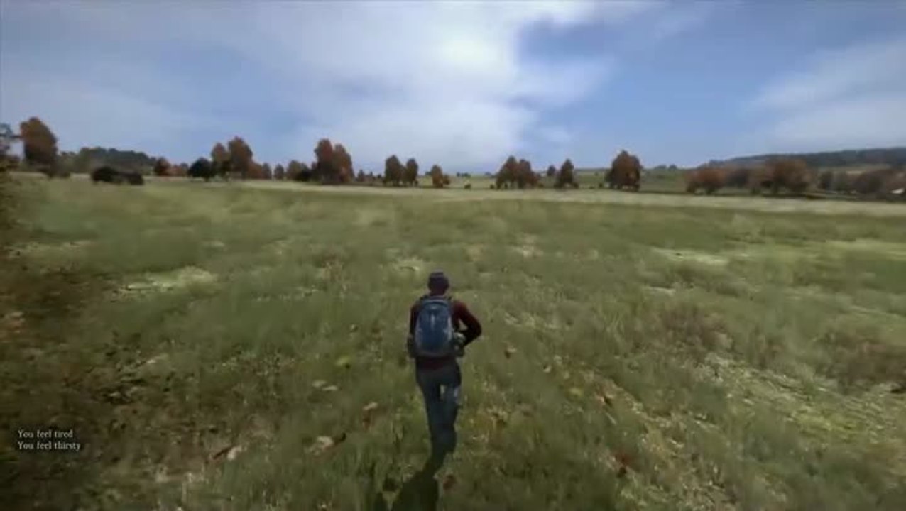 DayZ : Evolution